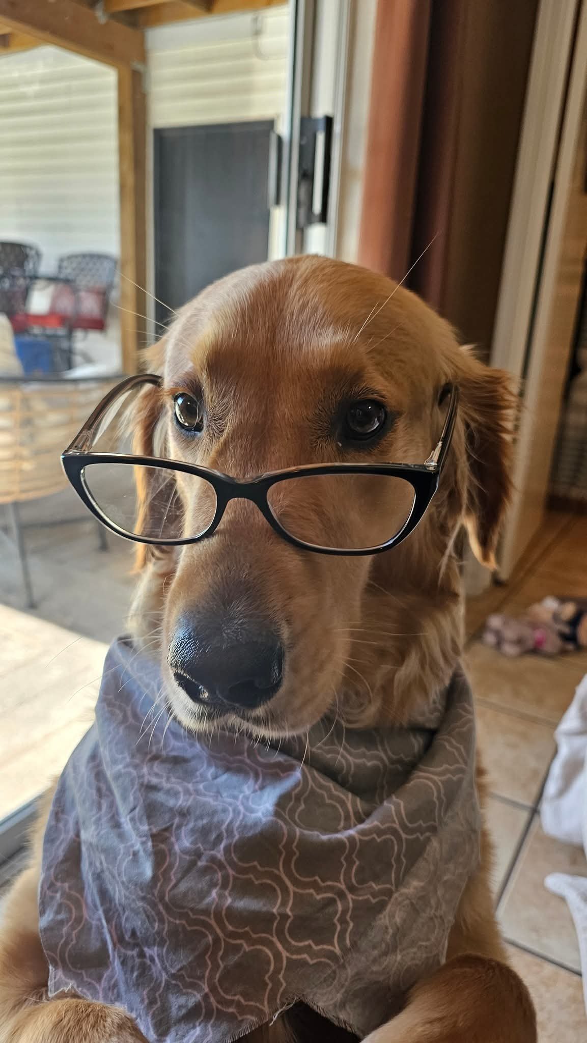 Ginger wearing glasses and a bandana