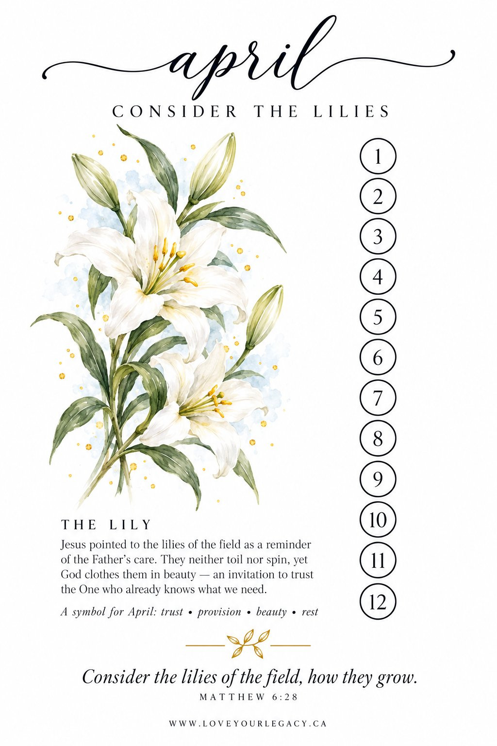 Consider the Lilies tracker tip-in preview