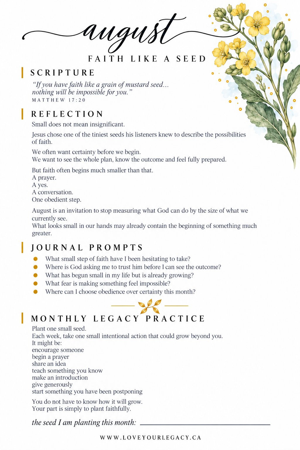 Faith Like a Seed reflection tip-in preview