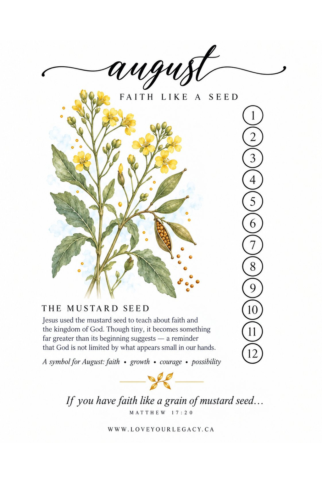 Faith Like a Seed tracker tip-in preview