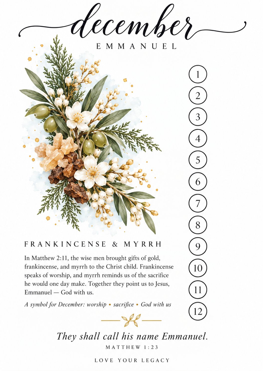 Emmanuel reflection tip-in preview