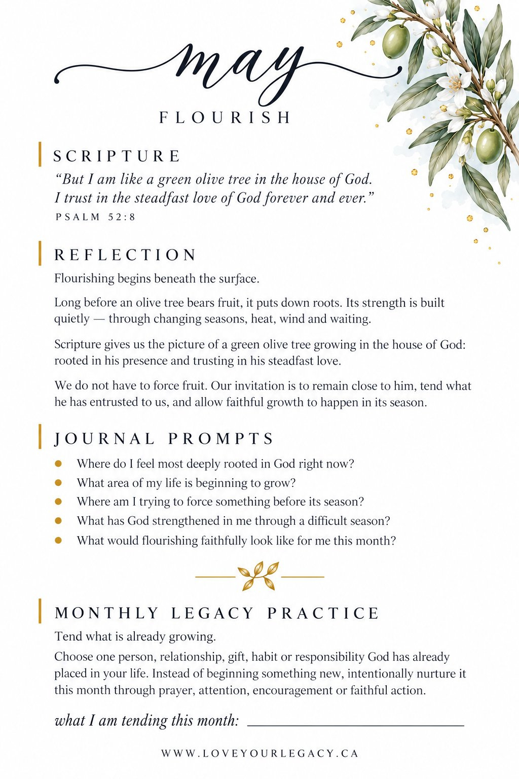 Flourish reflection tip-in preview