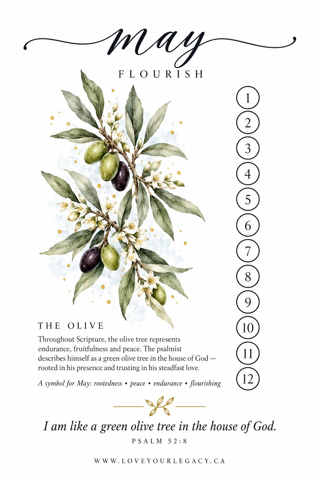 Flourish tracker tip-in preview