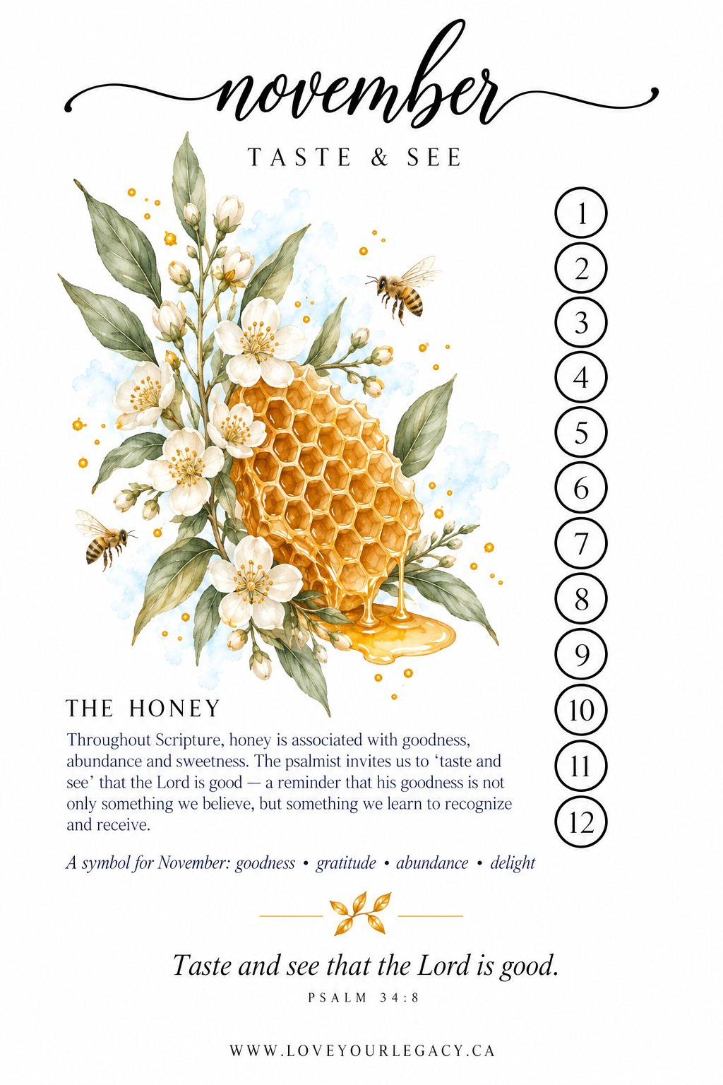 Taste and See tracker tip-in preview