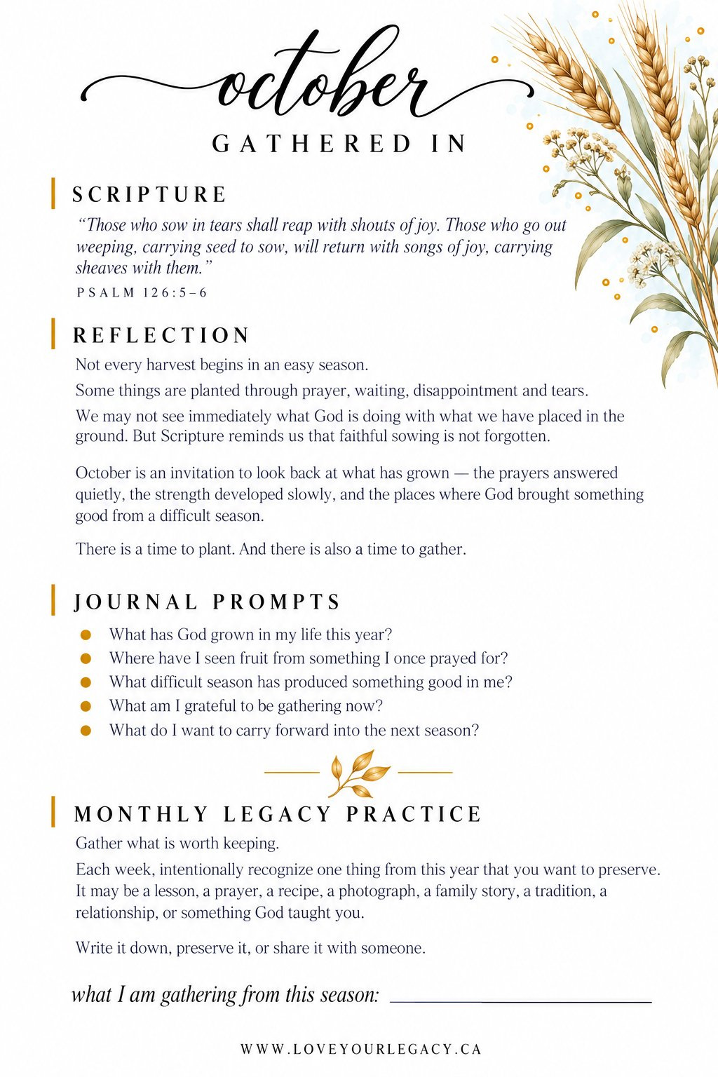 Gathered In reflection tip-in preview