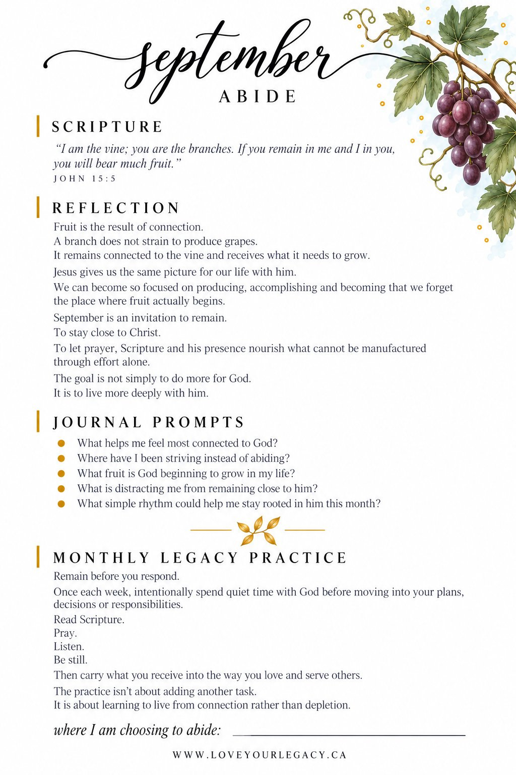 Abide reflection tip-in preview